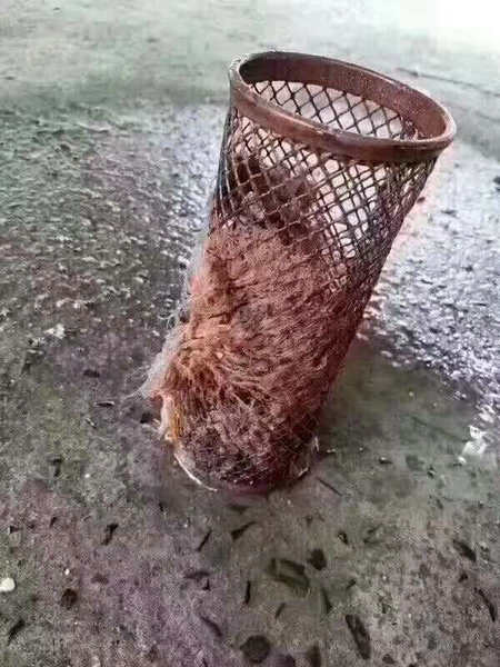 ˮ